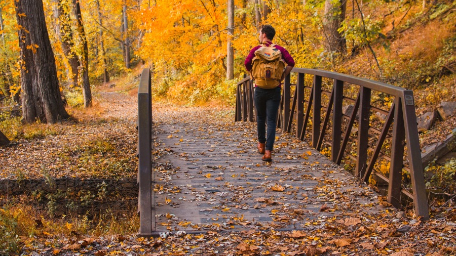 Read more about the article Indian Summer – Herbst in der Countryside of Philadelphia